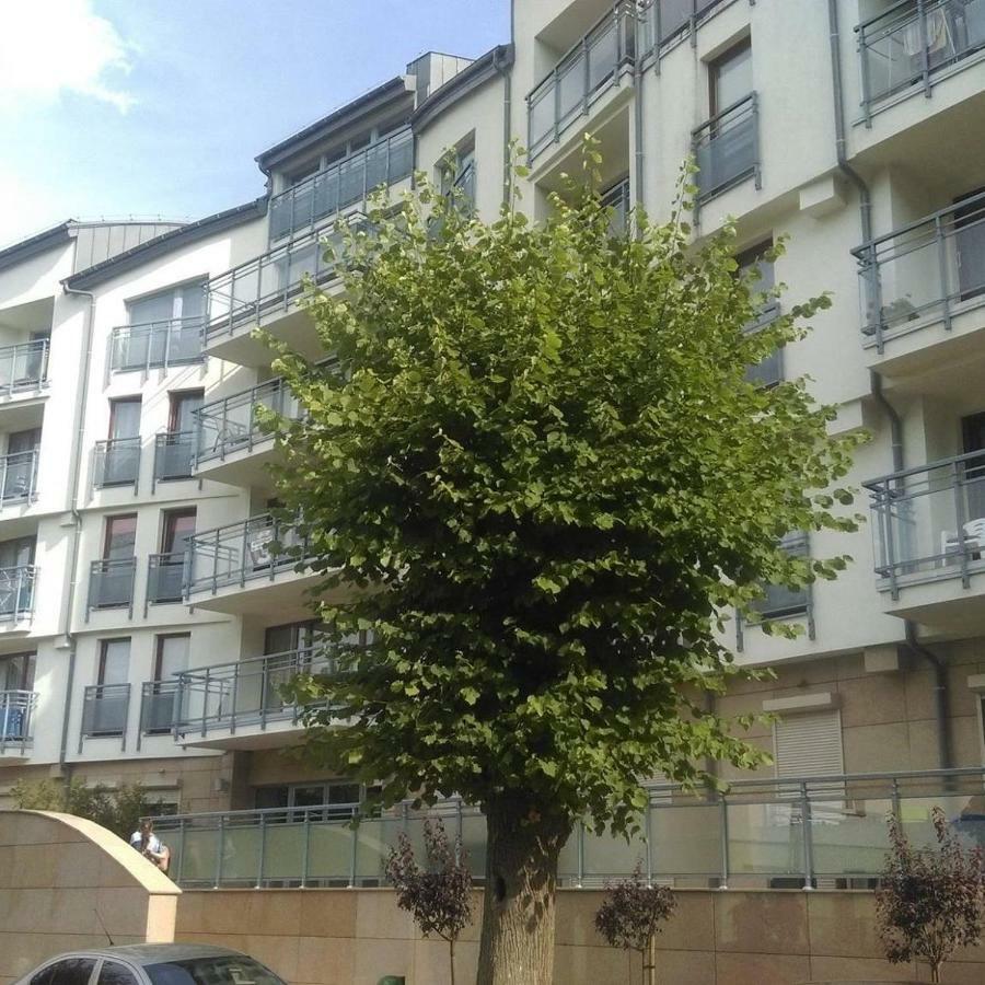 Apartament Flauta, Villa Marea Miedzyzdroje Exterior photo